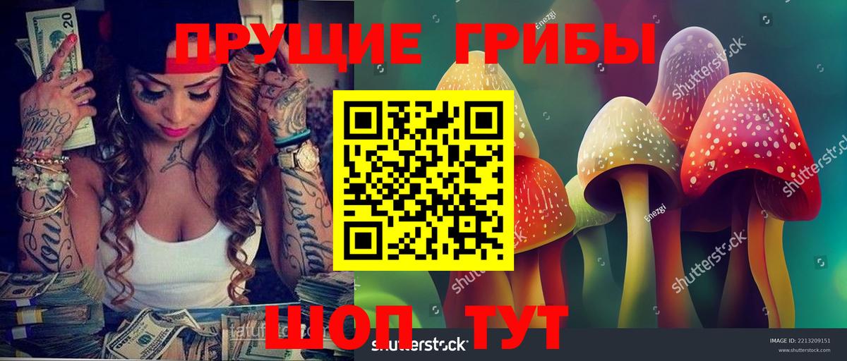 Псилоцибиновые грибы Psilocybe Крымск
